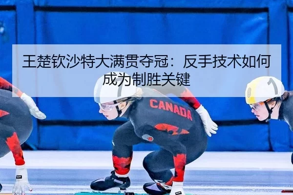 wang-chu-qin-sha-te-da-man-guan-duo-guan-fan-shou-ji-shu-ru-he-cheng-wei-zhi-sheng-guan-jian-3-192.jpg