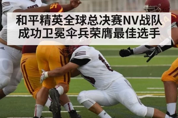 和平精英全球总决赛NV战队成功卫冕伞兵荣膺最佳选手